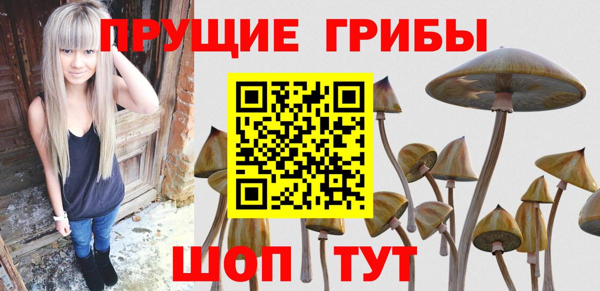 Улан-Удэ  Псилоцибиновые грибы мухоморы  Вход с VPN  Псилоцибиновые грибы Cubensis 